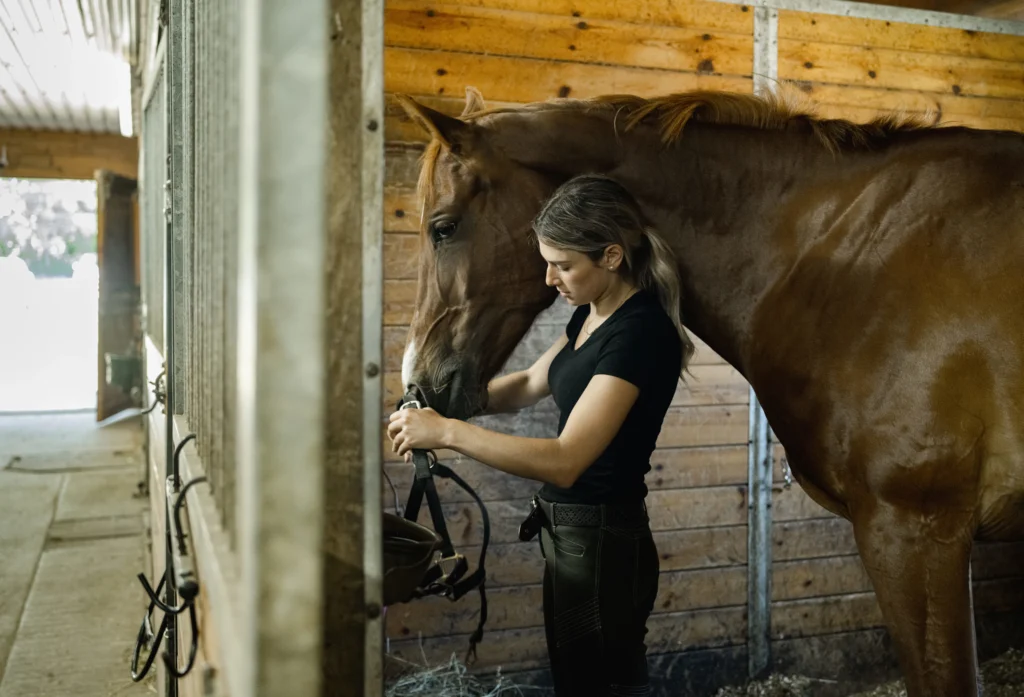 Towergate AIUA Equine Insurance Explained (2026) – What's New?